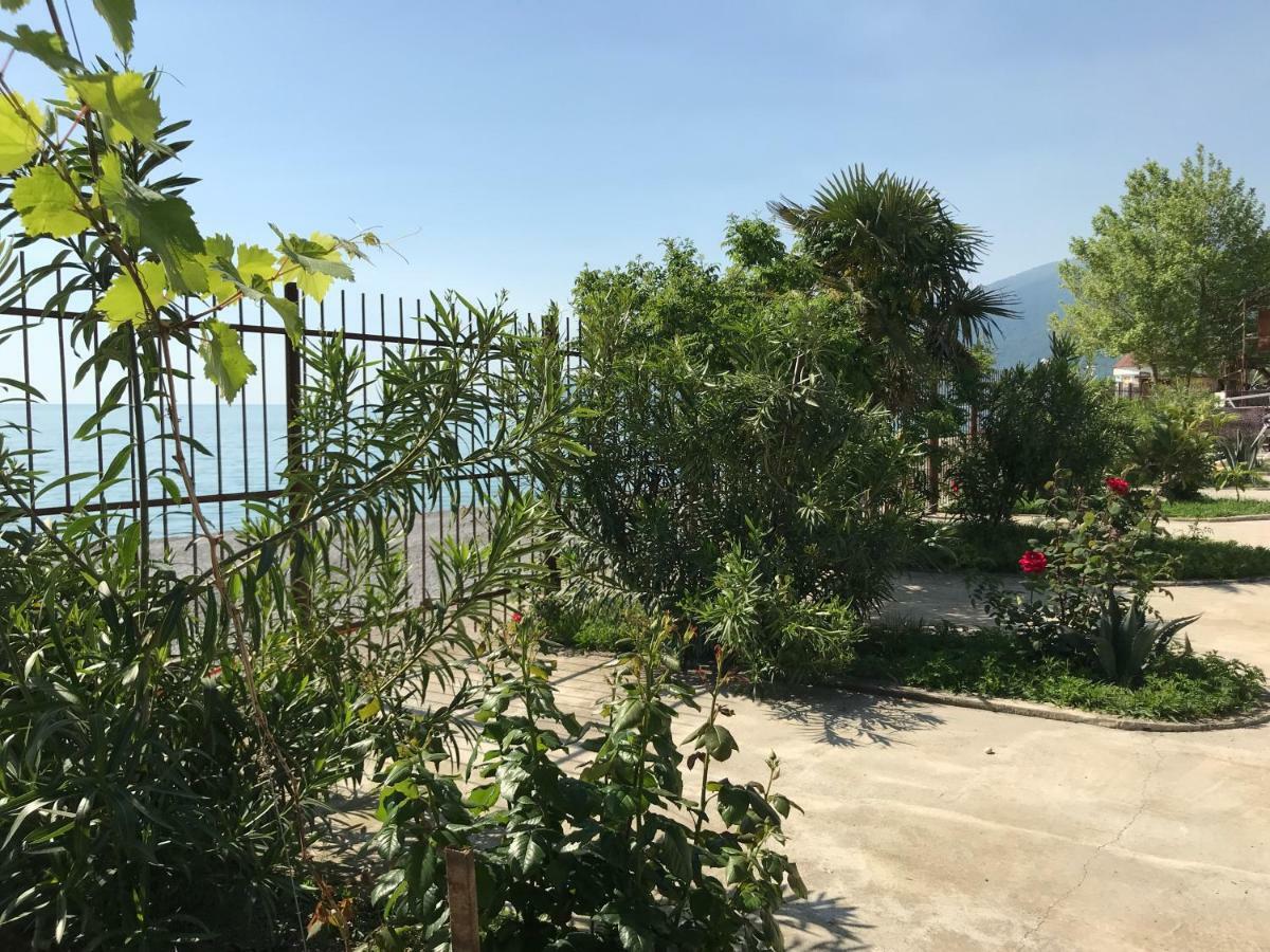 Davel Hotel Gagra Bagian luar foto
